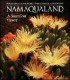 Namaqualand: A Succulent Desert